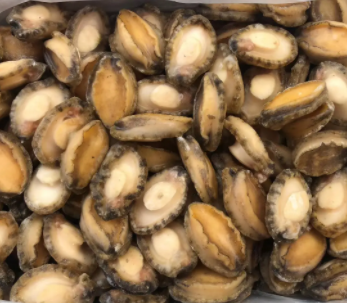 【食品進(jìn)口】海參、鮑魚等海味干貨報(bào)關(guān)指南