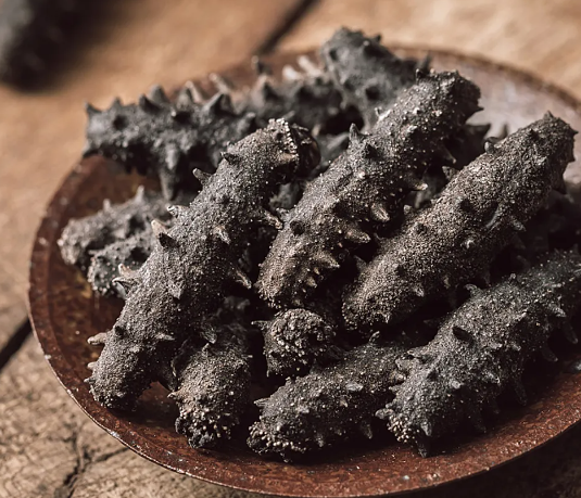 b0aae432576b0d00bd9adc63791f733d.png 干海參進口.png