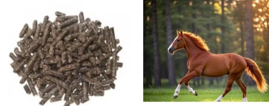 政策解讀-海關總署關于進口丹麥馬飼料檢疫和衛生要求的公告