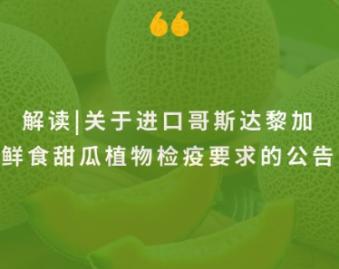 政策解讀 | 進口哥斯達黎加鮮食甜瓜植物檢疫要求