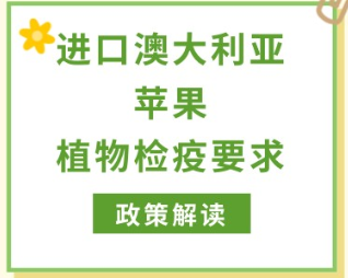 政策解讀 | 海關總署關于進口澳大利亞鮮食蘋果植物檢疫要求