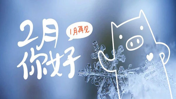 2月，這些海關(guān)政策快來(lái)看！